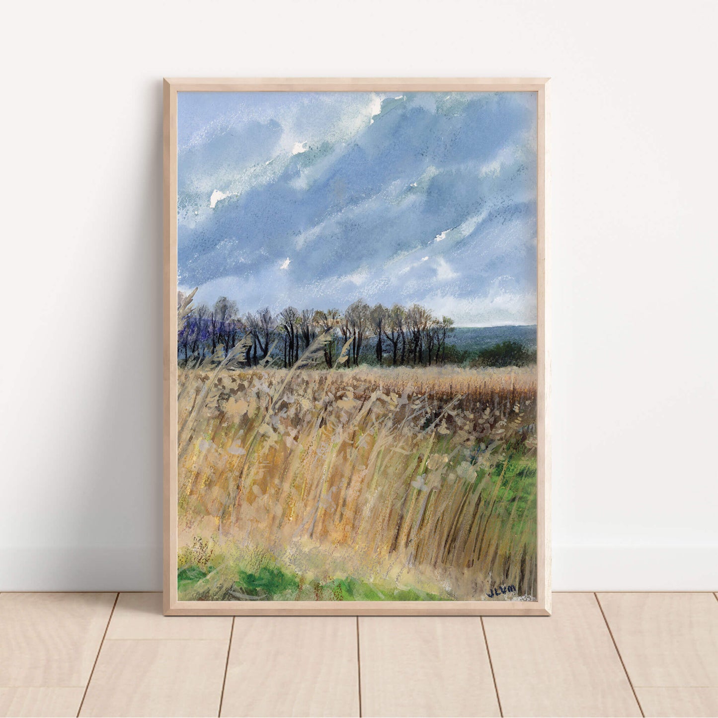Burton Mere Wetlands Landscape Art Print