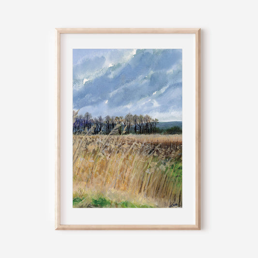 Burton Mere Wetlands Landscape Art Print