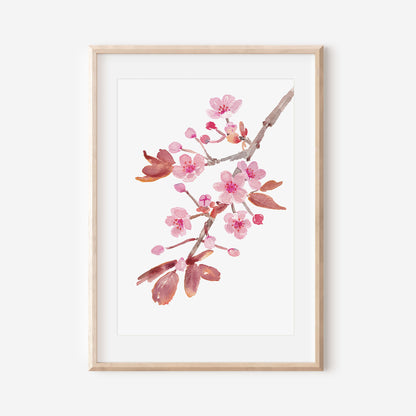 Cherry Blossom Spring Flower Art Print