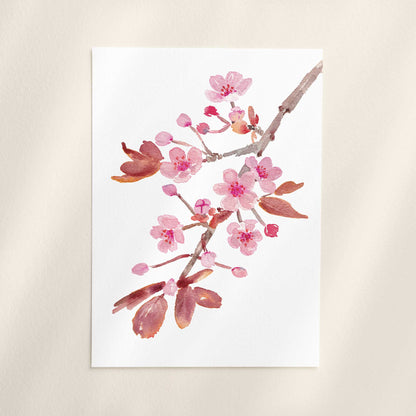 Cherry Blossom Spring Flower Art Print