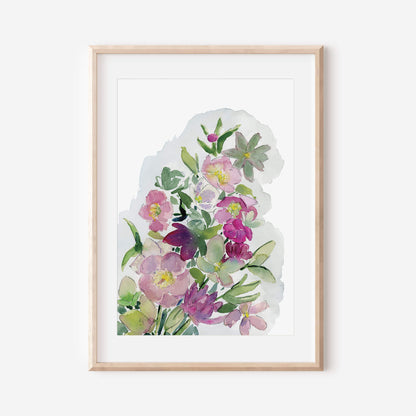 Hellebore Flower Art Print