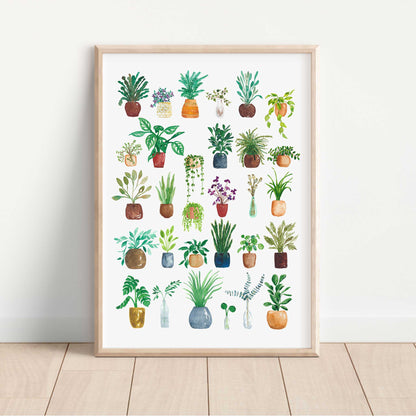 House Plants Art Print