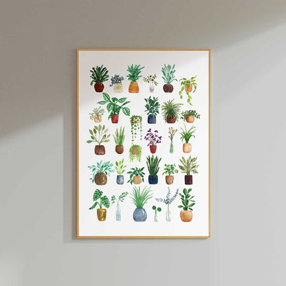 House Plants Art Print