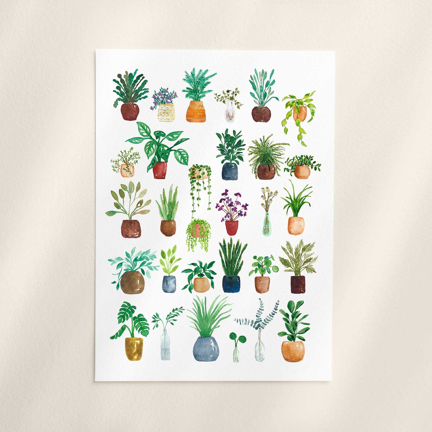 House Plants Art Print